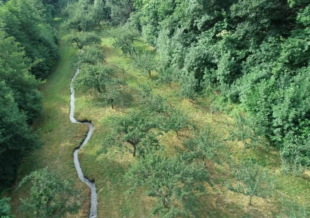 Verger irrigué par un béal